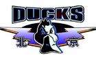 媒體人：北京隊全隊以曾凡博精神勝山西，勝利終結(jié)兩日輿論。