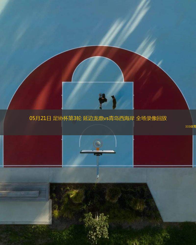 05月21日 足協(xié)杯第3輪 延邊龍鼎vs青島西海岸 全場錄像回放