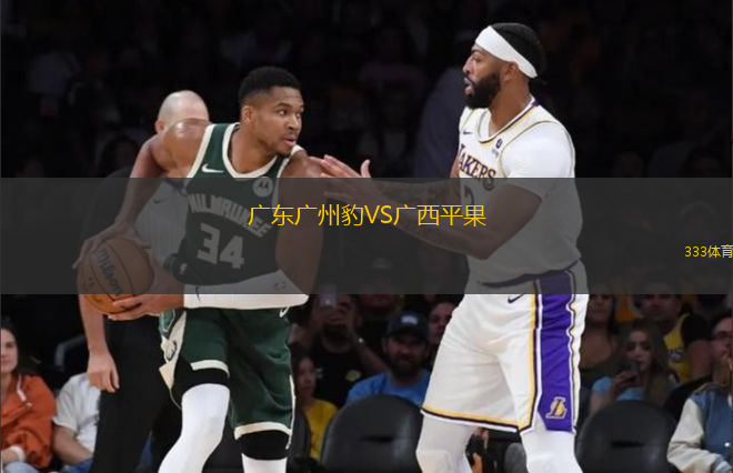 廣東廣州豹VS廣西平果
