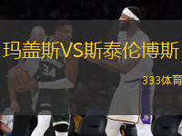 瑪蓋斯VS斯泰倫博斯