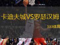 卡迪夫城VS羅瑟漢姆