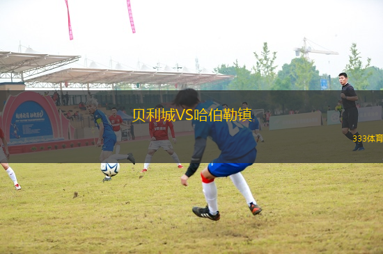 貝利城VS哈伯勒鎮(zhèn)