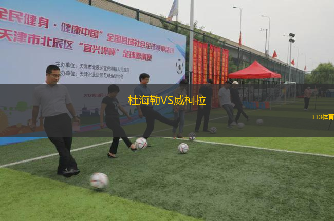 杜海勒VS威柯拉