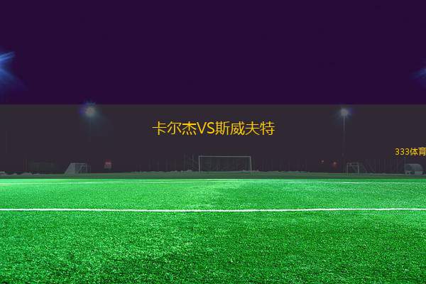 卡爾杰VS斯威夫特