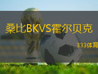 桑比BKVS霍爾貝克