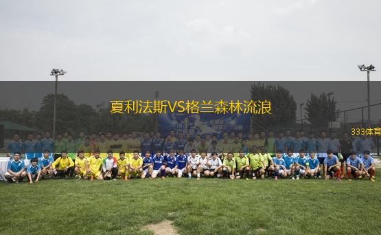 夏利法斯VS格蘭森林流浪