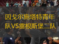因戈?duì)柺┧厍嗄觋?duì)VS雷根斯堡二隊(duì)
