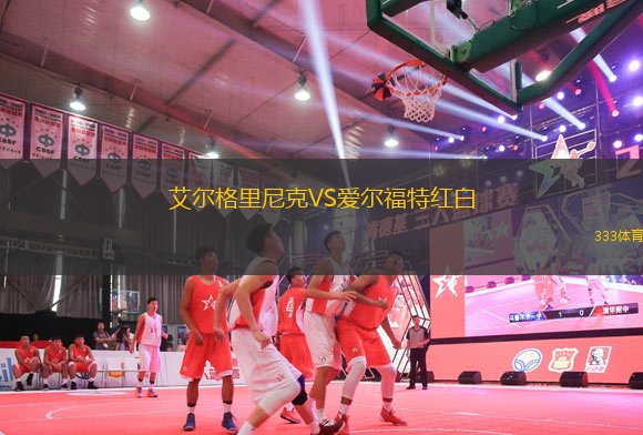 艾爾格里尼克VS愛爾福特紅白