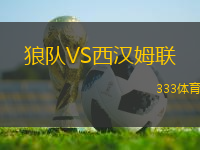 狼隊VS西漢姆聯(lián)