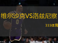 維爾沙克VS洛茲尼察