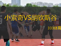 小索奇VS胡欽斯谷