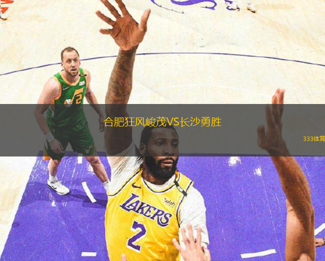 合肥狂風(fēng)峻茂VS長(zhǎng)沙勇勝