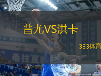 普尤VS洪卡