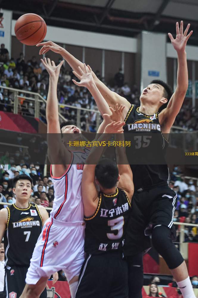 卡琳娜古賓VS卡爾科努