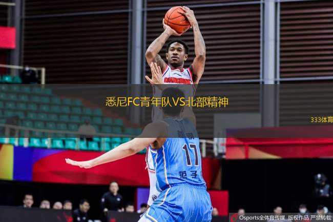 悉尼FC青年隊(duì)VS北部精神