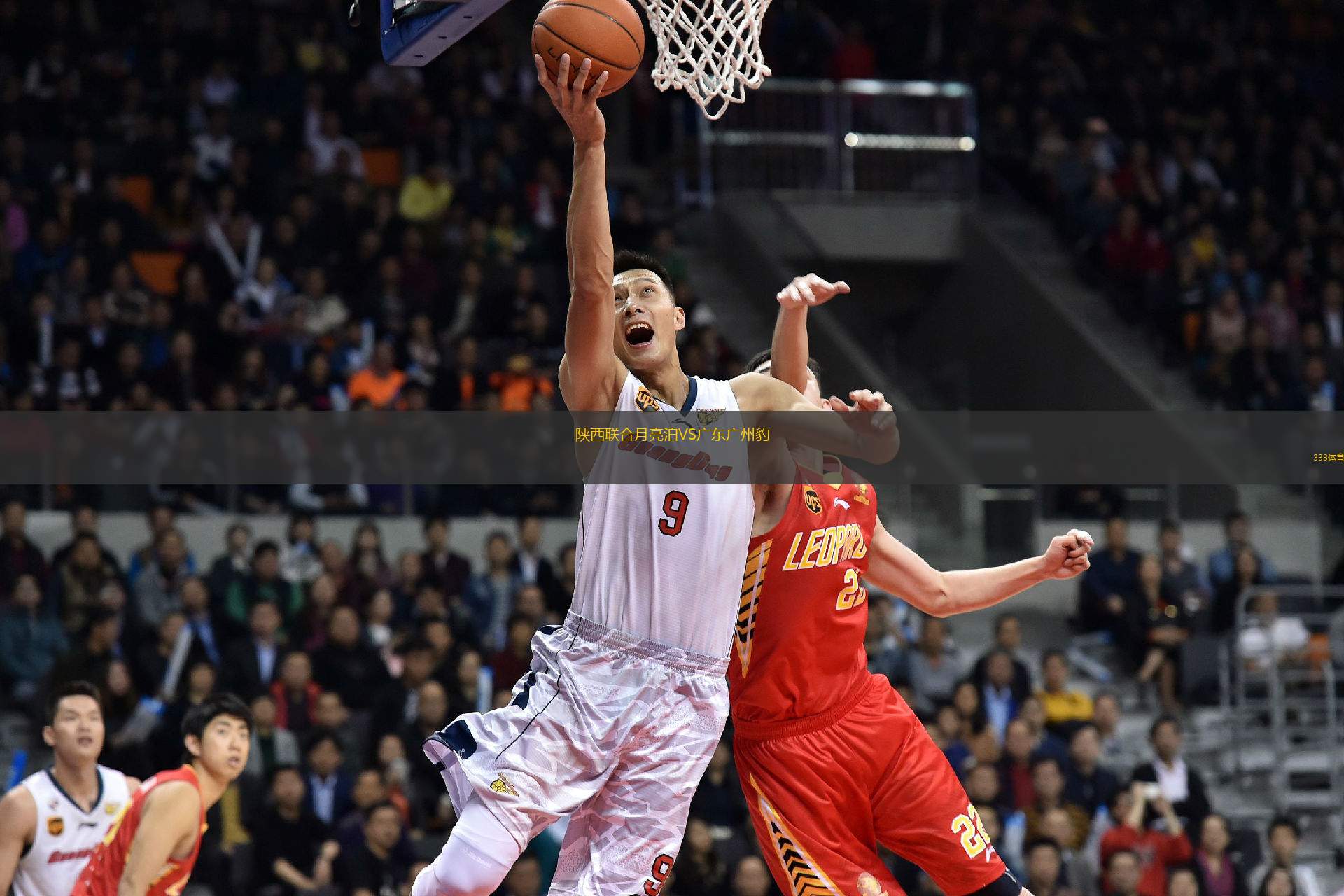 陜西聯(lián)合月亮泊VS廣東廣州豹