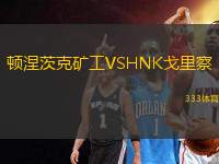 頓涅茨克礦工VSHNK戈里察