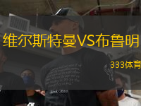 維爾斯特曼VS布魯明