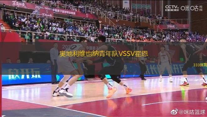 奧地利維也納青年隊(duì)VSSV霍恩