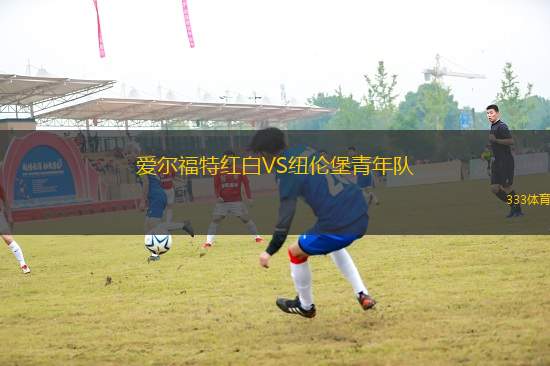 愛(ài)爾福特紅白VS紐倫堡青年隊(duì)