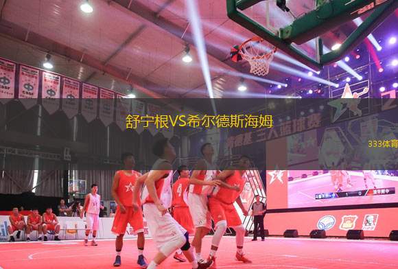 舒寧根VS希爾德斯海姆