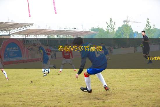 希根VS多特蒙德
