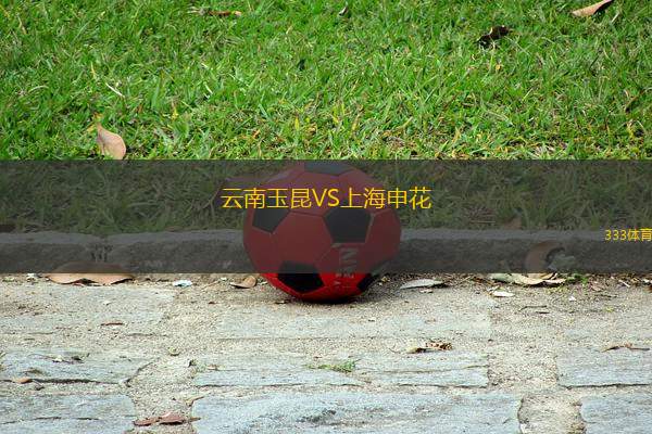 云南玉昆VS上海申花
