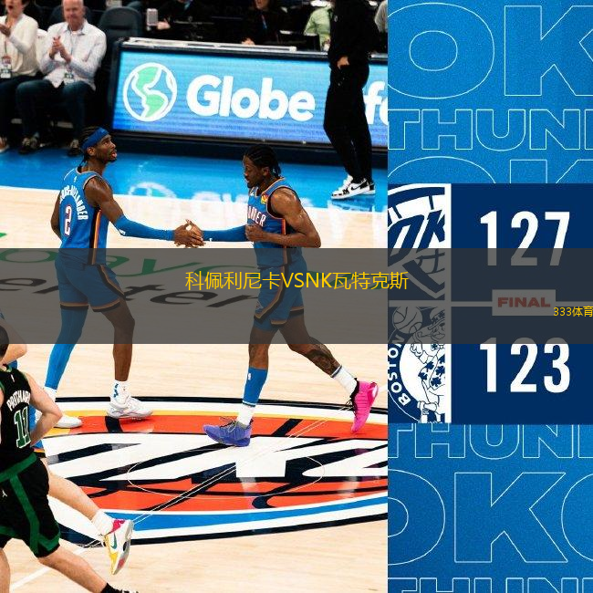 科佩利尼卡VSNK瓦特克斯