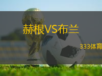 赫根VS布蘭