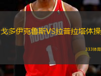 戈多伊克魯斯VS拉普拉塔體操