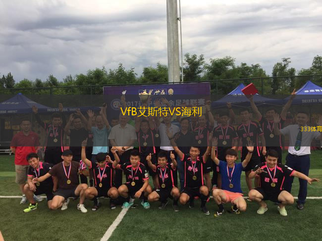 VfB艾斯特VS海利